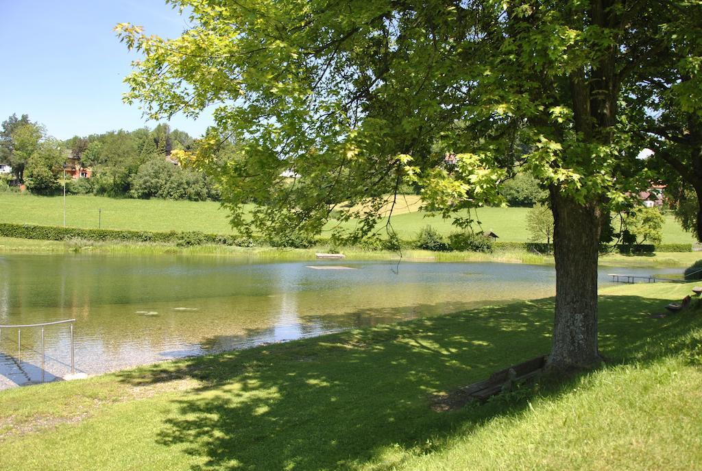 Gasthof Und Pension Haunschmid Rechberg Esterno foto